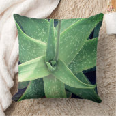 アロエベラ植物 クッション (ブランケット)