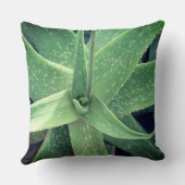 アロエベラ植物 クッション (裏面)