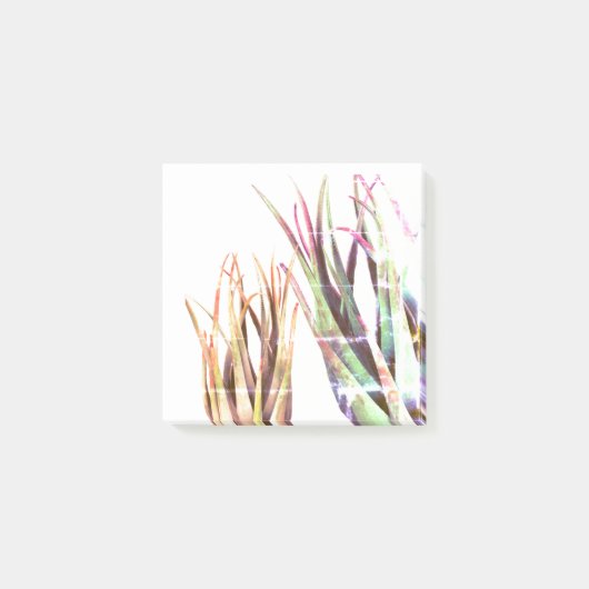 アロエベラ、アートノーツ ポストイット (正面)