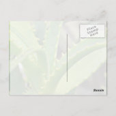 アロエベラ ポストカード (裏面)