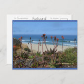 アロエベラ(HMB) | ブルービーチソング™はがき ポストカード (正面/裏面)