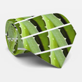 アロエヴィエラ ネクタイ (ロール)