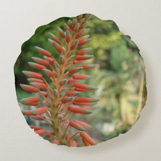 アロエヴェラプラントフォトラウンドクッション ラウンドクッション (裏面)