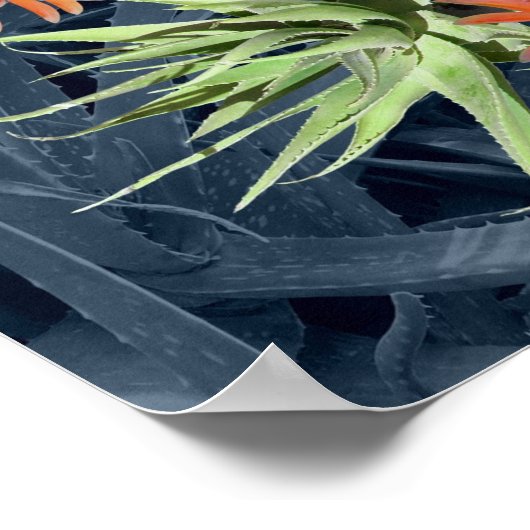 アロエヴェラ縁どとサンフランシスの祈りの言葉 ポスター (角)