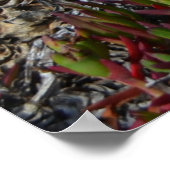 アロエヴェラinハーフムーンベイ ポスター (角)