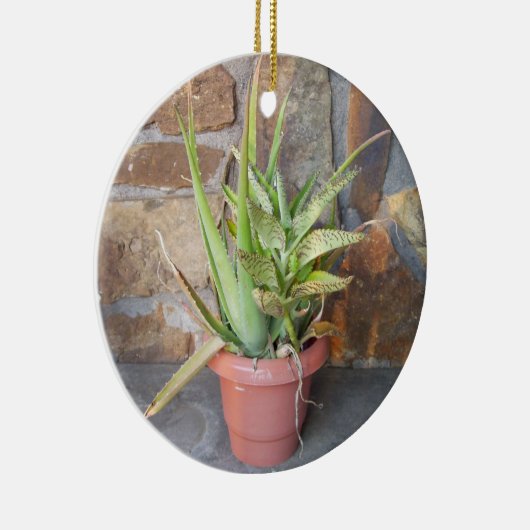 アロエヴェリーメモリアルオーナメント セラミックオーナメント (右)