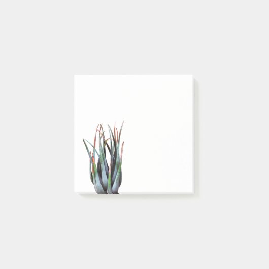 アロエ植物の写真 アート ノート ポストイット (正面)