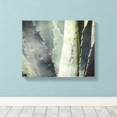 アロエ キャンバスプリント (インサイチュ (ウッドフロア))