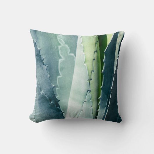 アロエ クッション (正面)