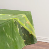 アロエ テーブルクロス (インサイチュ)