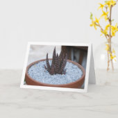 アロエ・トワイライトゾーン多肉植物 カード (黄色い花)