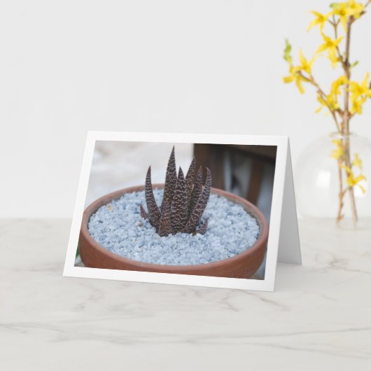 アロエ・トワイライトゾーン多肉植物 カード (黄色い花)