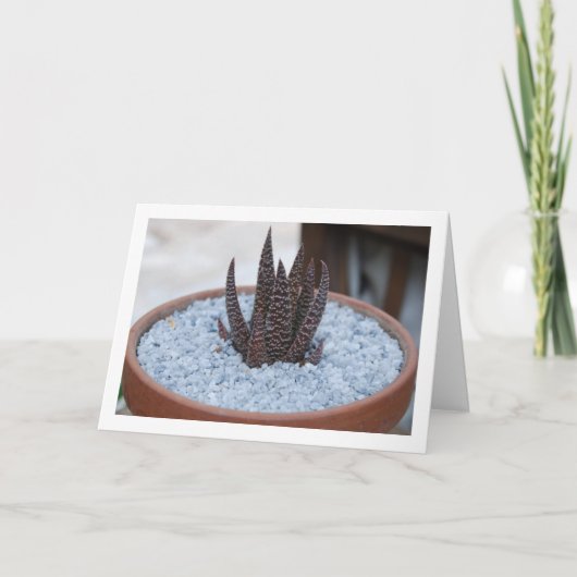 アロエ・トワイライトゾーン多肉植物 カード (正面)