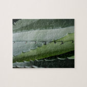 アロエ – マクロファインアート写真 ジグソーパズル (横)