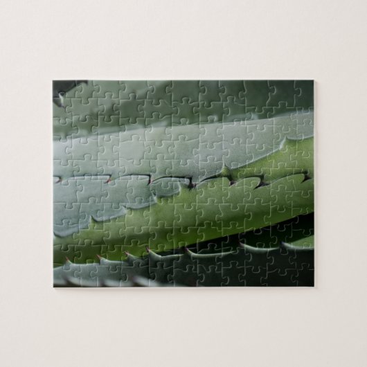 アロエ – マクロファインアート写真 ジグソーパズル (横)