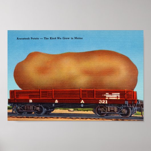 アロオストックポテトヴィンテージはがきプリント ポスター (正面)