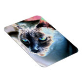 アロオブシアム猫変更フレキシブル磁石 マグネット (右側)
