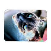 アロオブシアム猫変更フレキシブル磁石 マグネット (横)