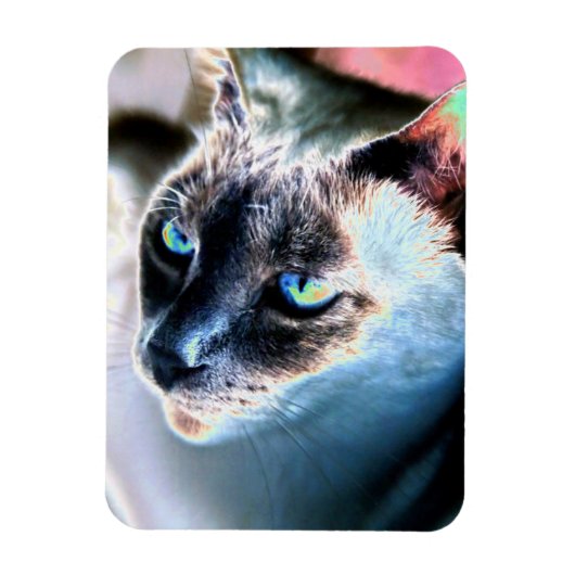 アロオブシアム猫変更フレキシブル磁石 マグネット (縦)