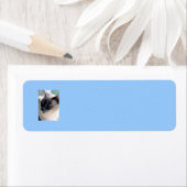 アロオブシャム猫ラベル ラベル (インサイチュ)