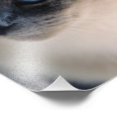 アロオブシャメッセキャットフォトプリント フォトプリント            (角)