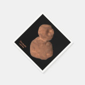 アロコカイパーベルト天体 スタンダードカクテルナプキン (角)