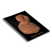 アロコカイパーベルト天体 ノートブック (右側)