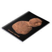 アロコカイパーベルト天体 ノートブック (左側)