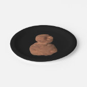 アロコカイパーベルト天体 ペーパープレート (アングル)