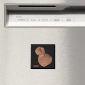 アロコカイパーベルト天体 マグネット (インサイチュ (食洗機))