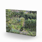 アロコメンズアットヘブデンブリッジ フォトブロック (右)