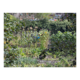 アロコメンズアットヘブデンブリッジ ポスター