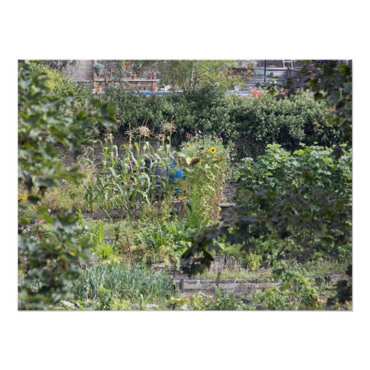 アロコメンズアットヘブデンブリッジ ポスター (正面)