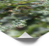 アロコメンズアットヘブデンブリッジ ポスター (コーナー)