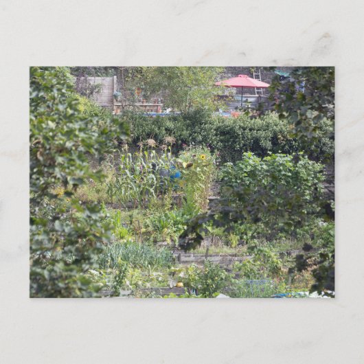 アロコメンズアットヘブデンブリッジ ポストカード (正面)