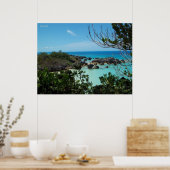 アロッキーバミューダコーブ ポスター (キッチン)