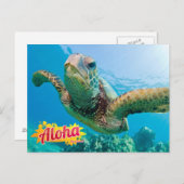 アロハからハワイ本州グリーンシータートルポストカード ポストカード (正面/裏面)
