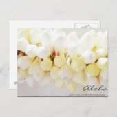 アロハとマハロ葉書 ポストカード (正面/裏面)