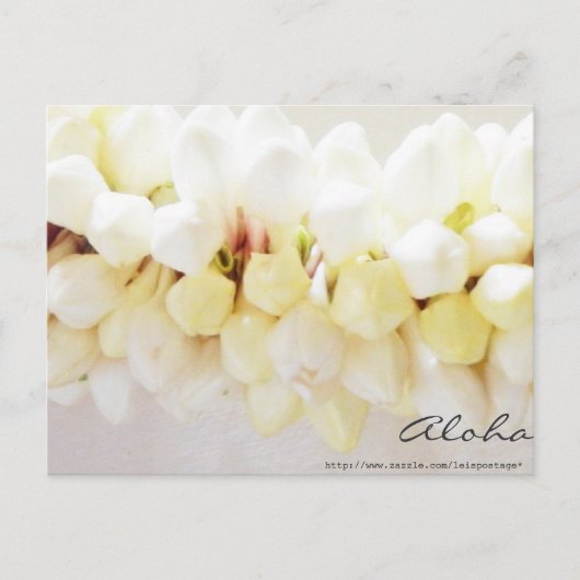 アロハとマハロ葉書 ポストカード (正面)