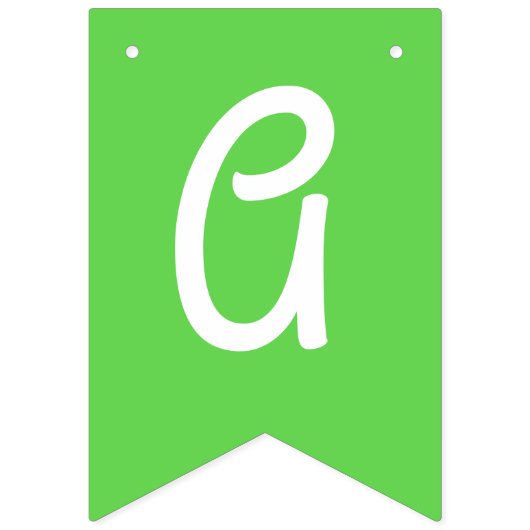 アロハキュートハワイアン1st誕生日パーティーテーマ バンティングフラッグ (第3の旗)