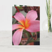 アロハハワイのFrangipaniはブライダルシャワー開きます 招待状 (裏面)