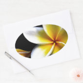 アロハハワイアンフランギパニフラムズプラメリアス 楕円形シール (封筒)