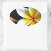 アロハハワイアンフランギパニフラムズプラメリアス 楕円形シール (バッグ)