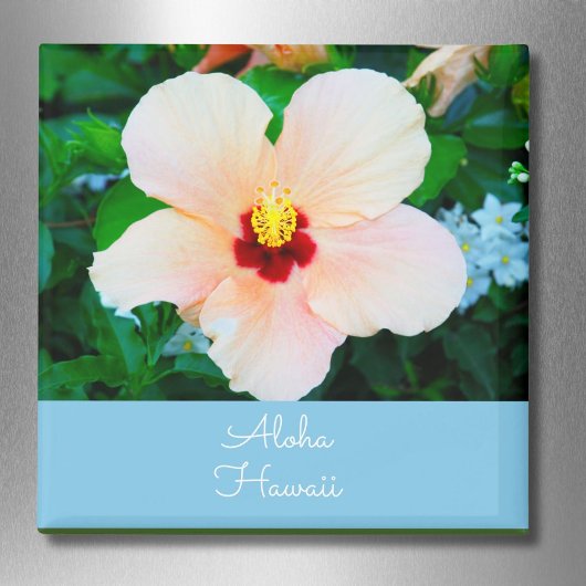 アロハハワイピーチカラー州フラワーハイビスカス マグネット