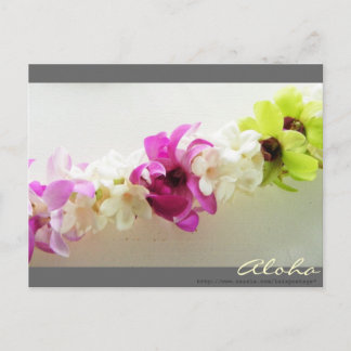 アロハレイハワイ葉書 ポストカード