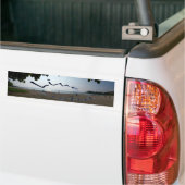 アロハ住んで下さい バンパーステッカー (トラック上)