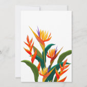 アロハ卒業証書!熱帯性卒業プールパーティー 招待状 (裏面)