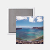 アロハ花馬諸島 マグネット (正面/裏面)