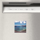 アロハ花馬諸島 マグネット (インサイチュ (食洗機))