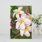 アロハ ハワイアン フランジパニの花 プルメリア 便箋 (スタンド正面)